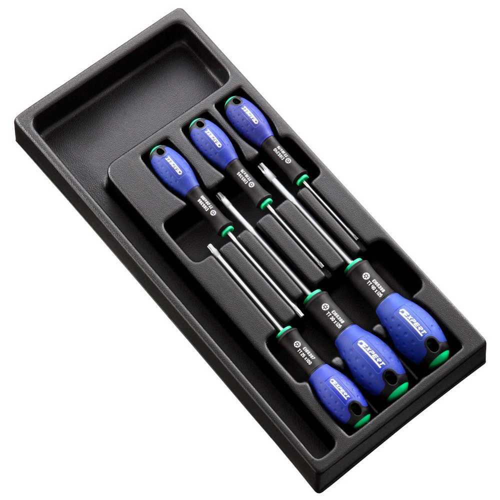 Expert By Facom E194941B - 6 Piece ResisTorx Screwdriver Module 1 Expert By Facom E194941B - 6 Piece ResisTorx Screwdriver Module
